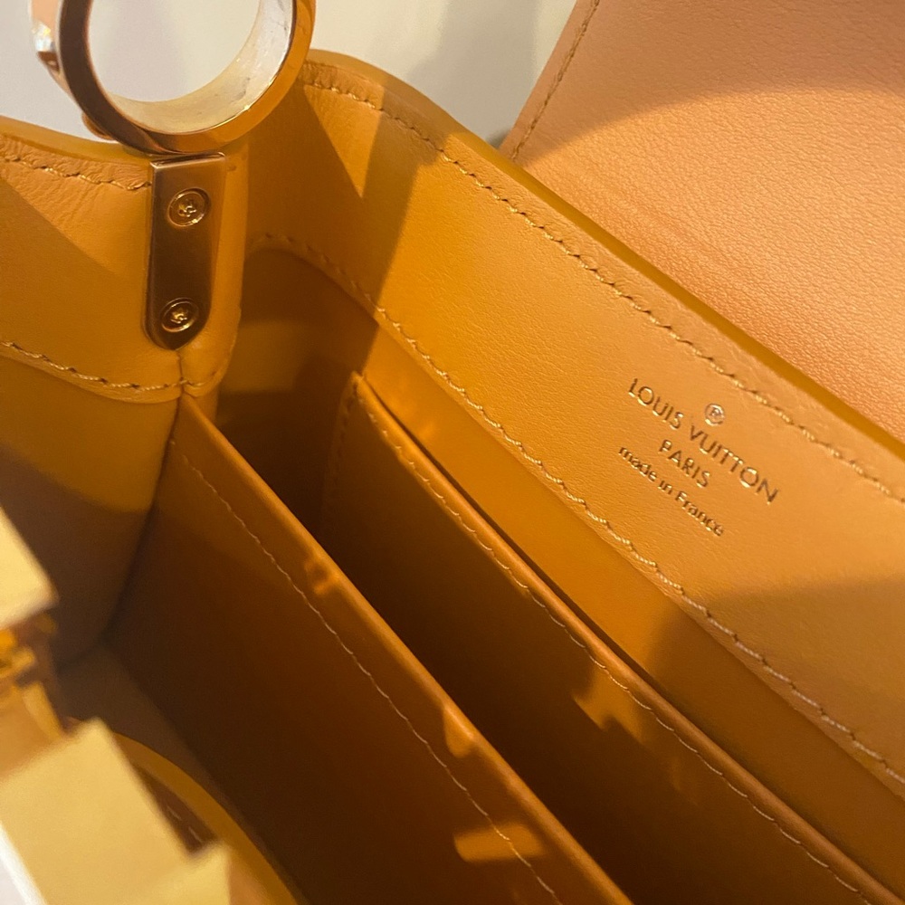 Louis Vuitton limited edition Capuchin Mini Tan Handbag. Microchipped - Picture 9 of 9